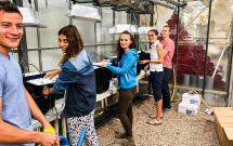 Les élèves-Ingénieurs de l'ENSAIA expérimentent la culture de basilic en aéroponie, avec le digestat comme unique apport de fertilisation