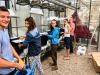 Les élèves-Ingénieurs de l'ENSAIA expérimentent la culture de basilic en aéroponie, avec le digestat comme unique apport de fertilisation